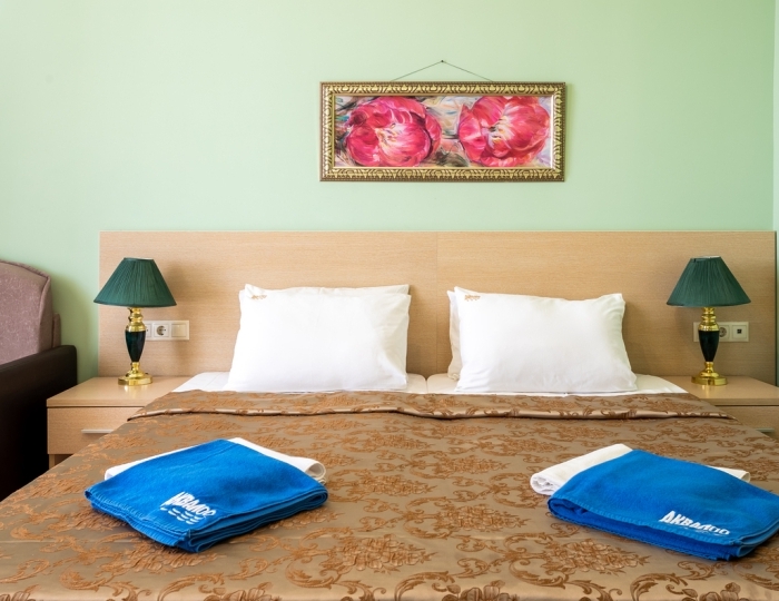 Стандарт 2-местный 1-комнатный номер - Пансионат «АкваЛоо»